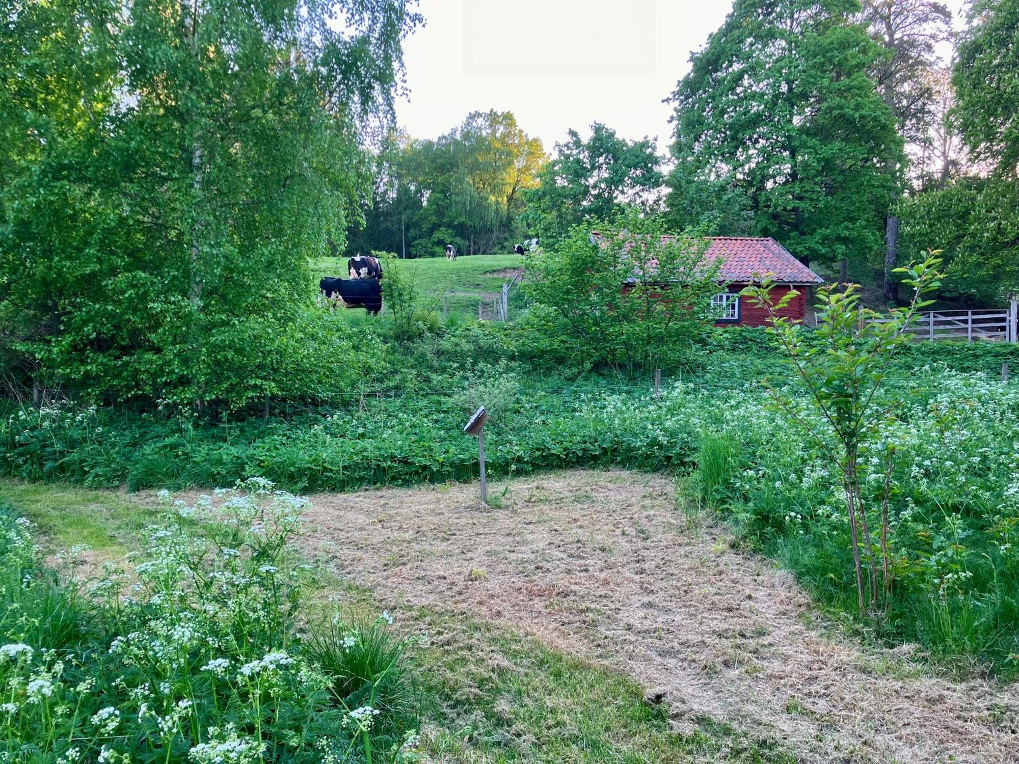 Lidhem Herrgard. Bed & Breakfast Och Mindre Lagenheter Віммербю Екстер'єр фото