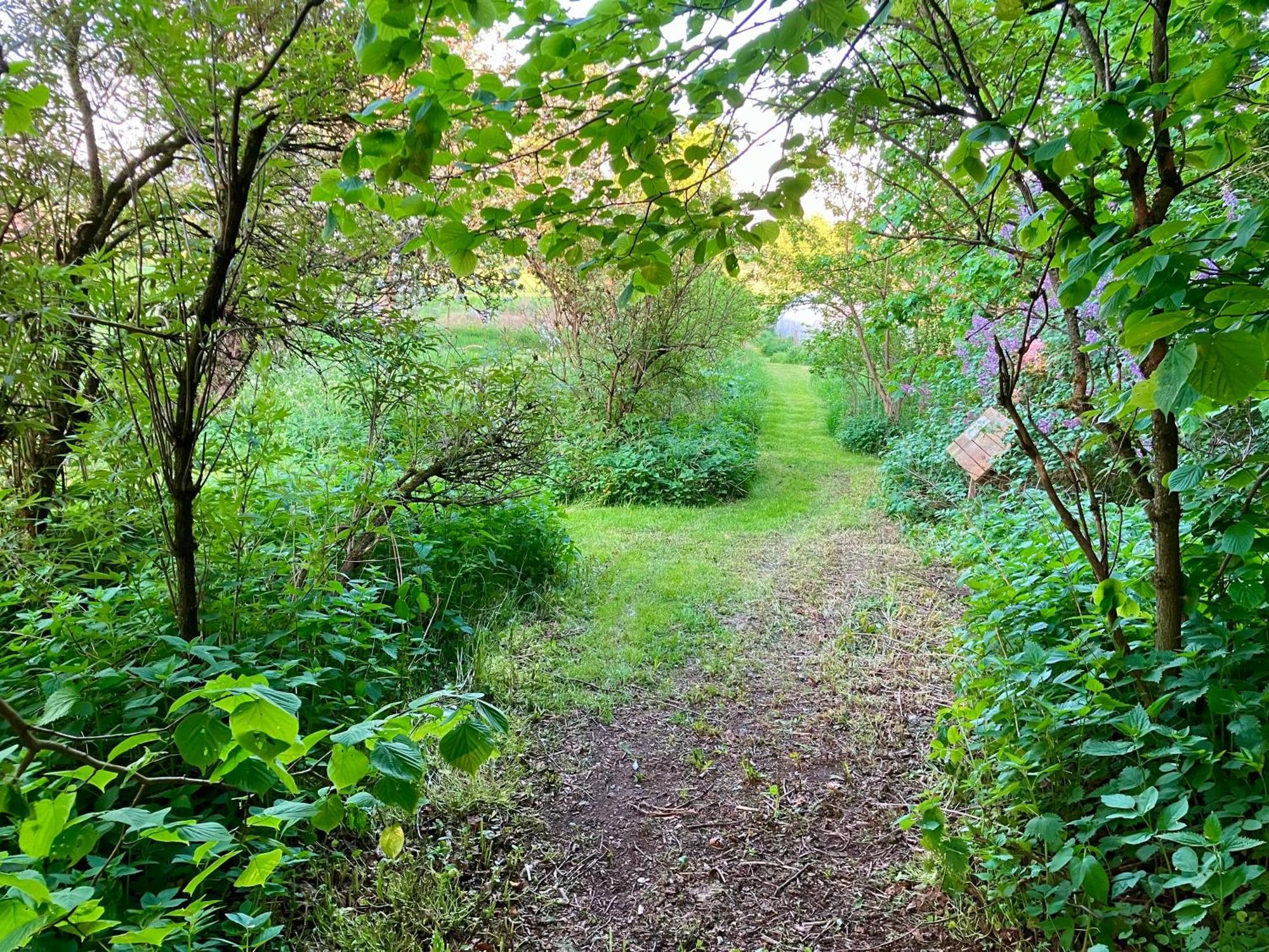 Lidhem Herrgard. Bed & Breakfast Och Mindre Lagenheter Віммербю Екстер'єр фото