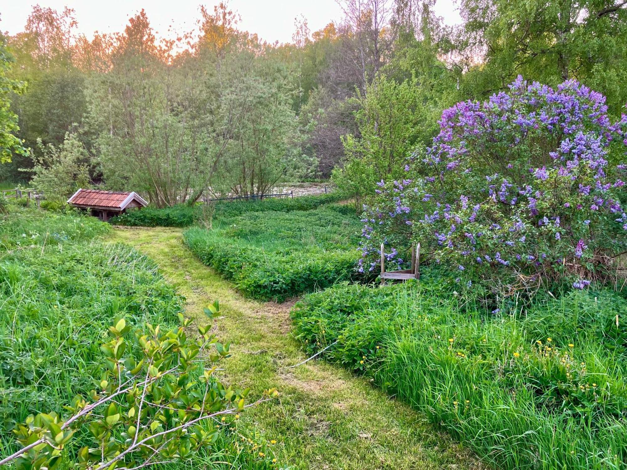 Lidhem Herrgard. Bed & Breakfast Och Mindre Lagenheter Віммербю Екстер'єр фото