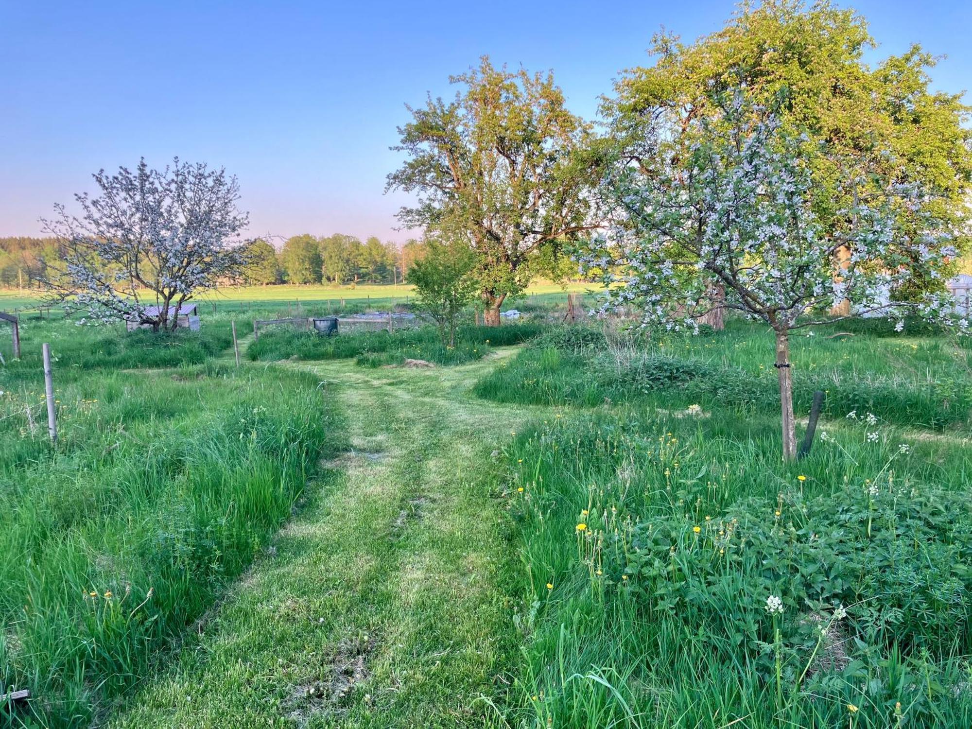 Lidhem Herrgard. Bed & Breakfast Och Mindre Lagenheter Віммербю Екстер'єр фото