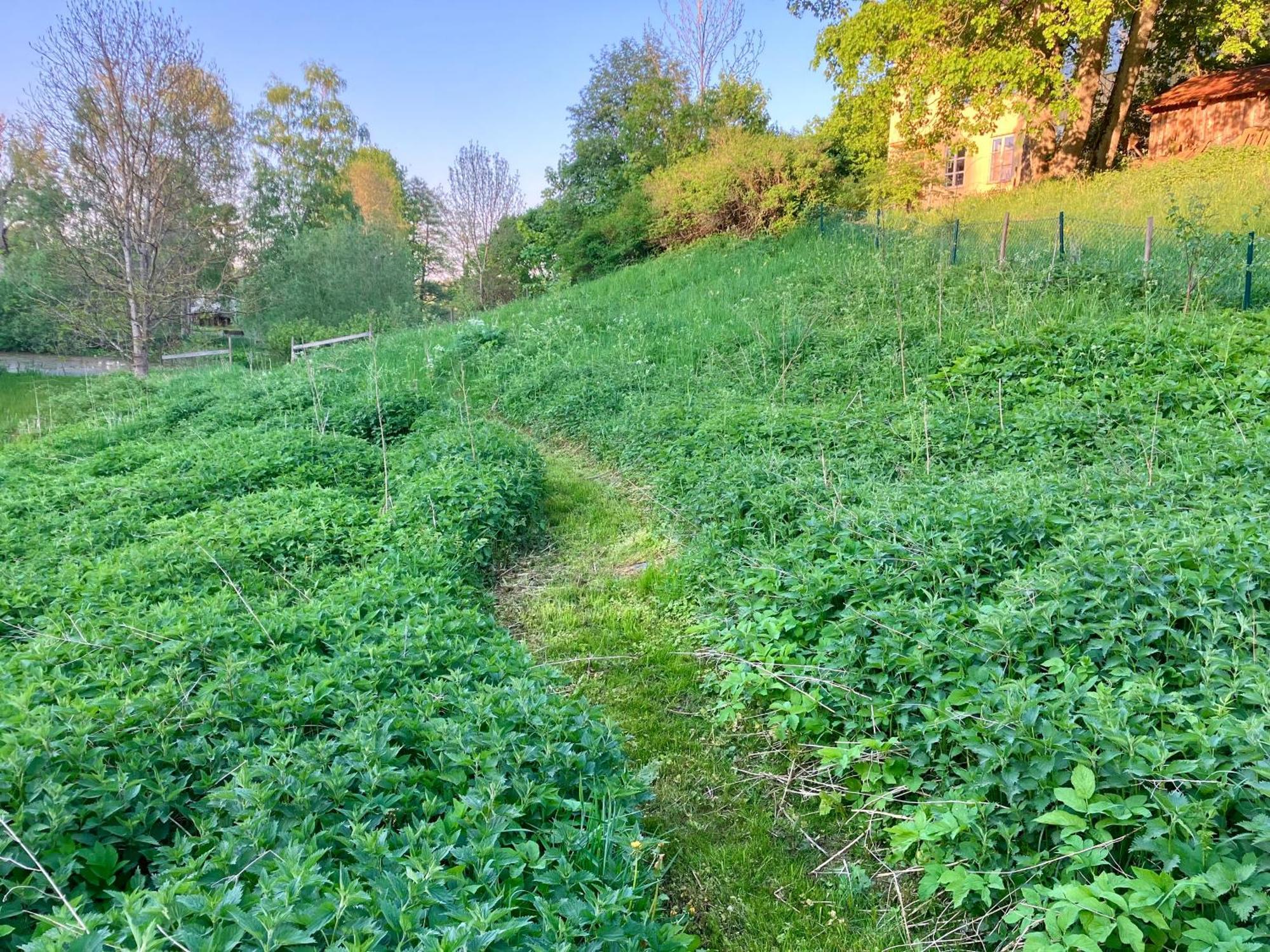 Lidhem Herrgard. Bed & Breakfast Och Mindre Lagenheter Віммербю Екстер'єр фото