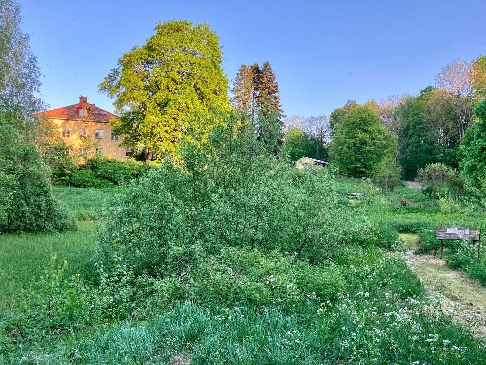 Lidhem Herrgard. Bed & Breakfast Och Mindre Lagenheter Віммербю Екстер'єр фото