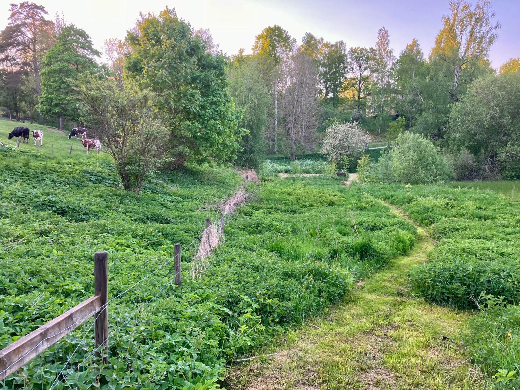 Lidhem Herrgard. Bed & Breakfast Och Mindre Lagenheter Віммербю Екстер'єр фото