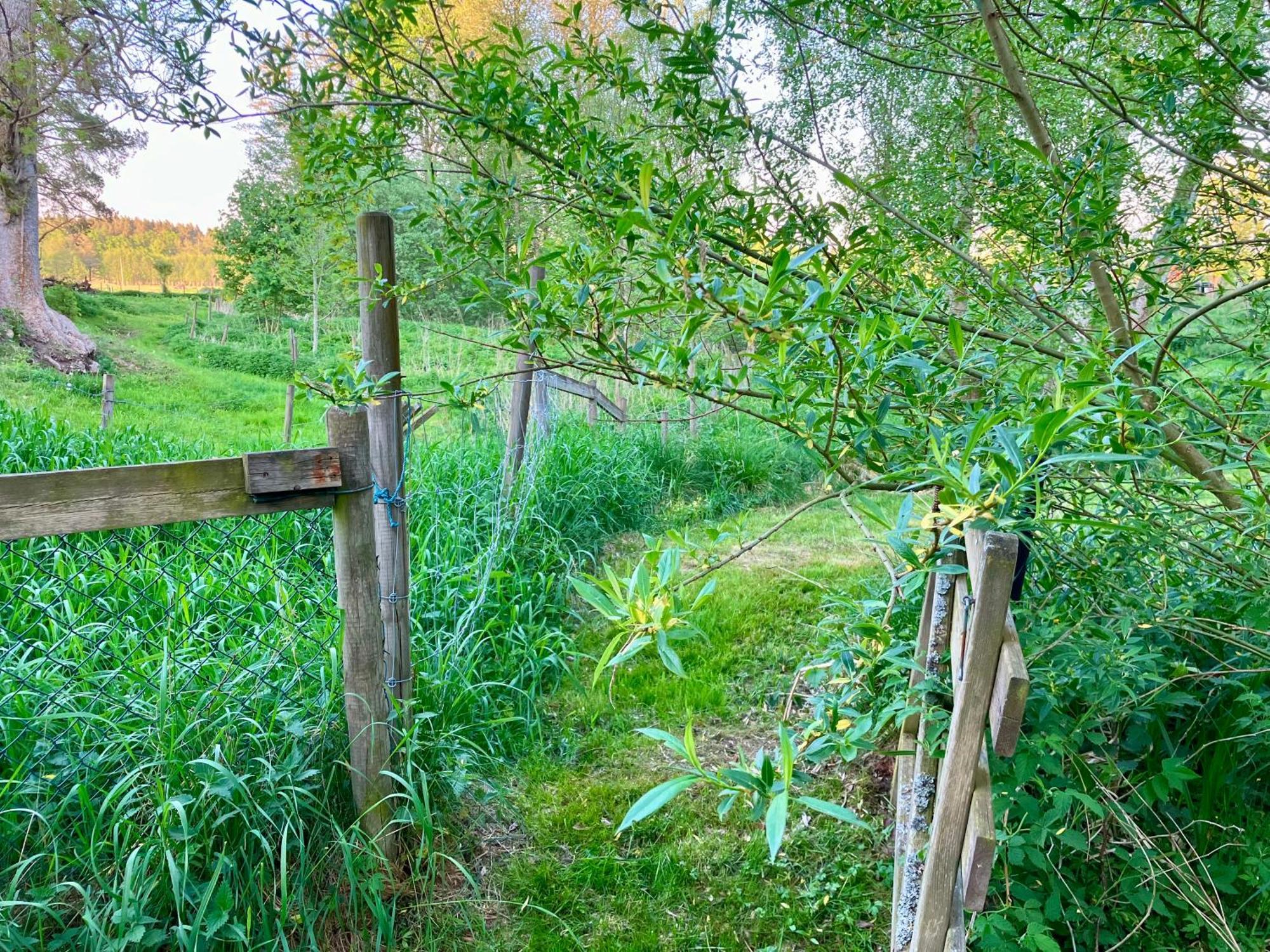 Lidhem Herrgard. Bed & Breakfast Och Mindre Lagenheter Віммербю Екстер'єр фото