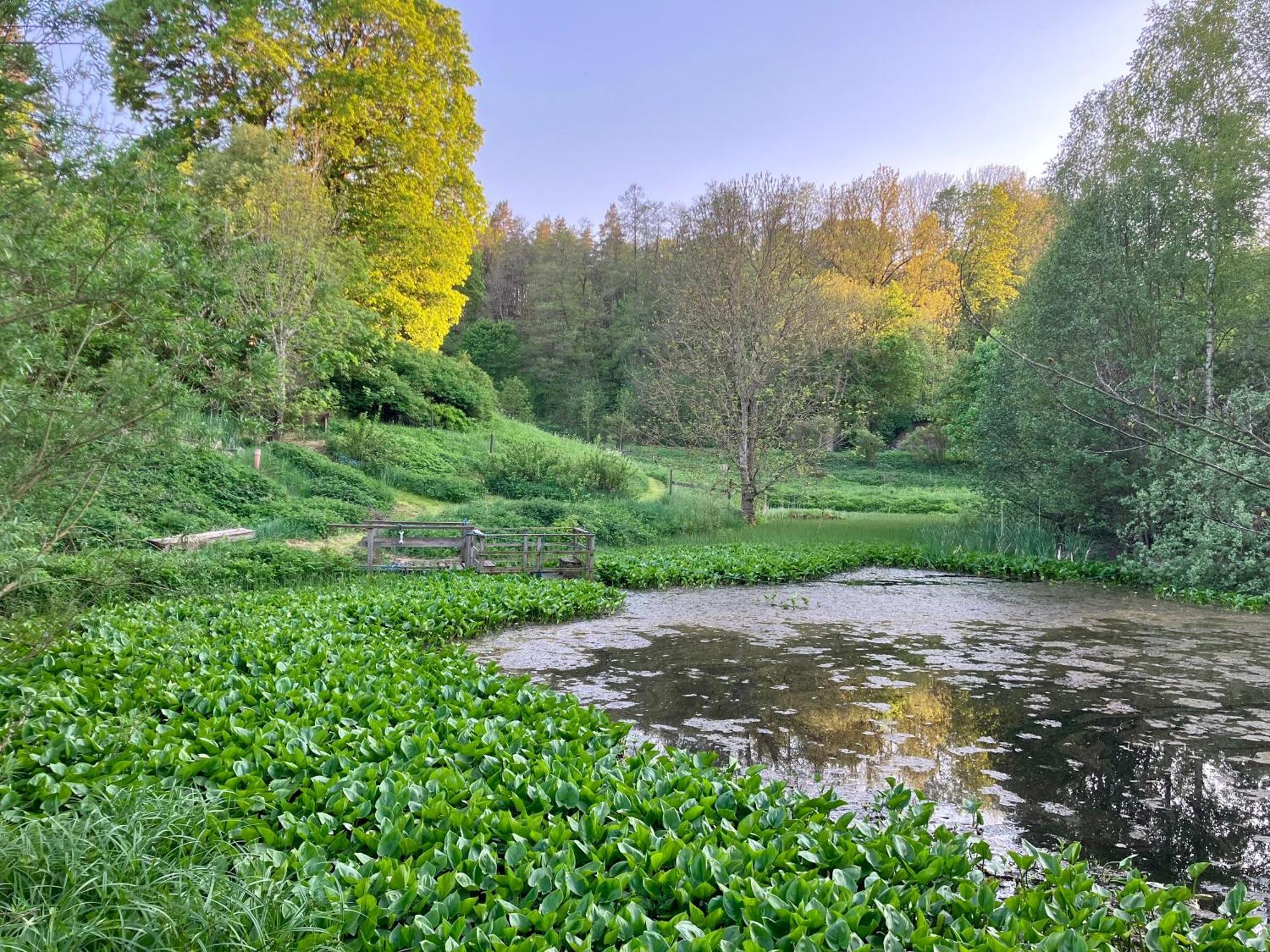 Lidhem Herrgard. Bed & Breakfast Och Mindre Lagenheter Віммербю Екстер'єр фото