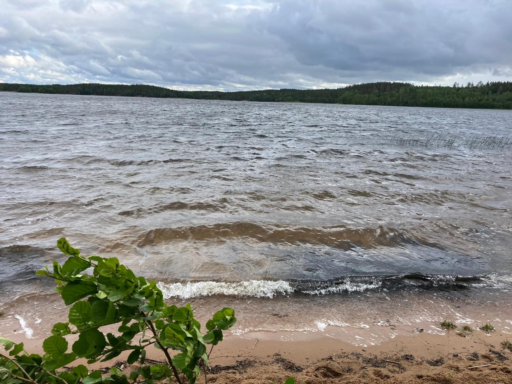 Lidhem Herrgard. Bed & Breakfast Och Mindre Lagenheter Віммербю Екстер'єр фото