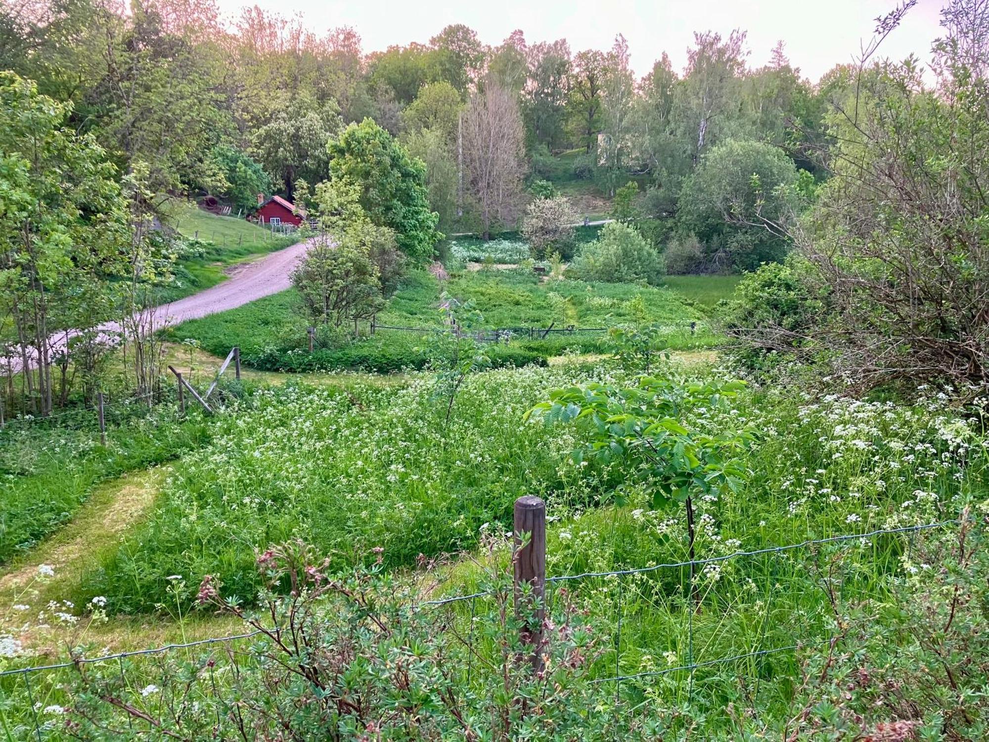 Lidhem Herrgard. Bed & Breakfast Och Mindre Lagenheter Віммербю Екстер'єр фото