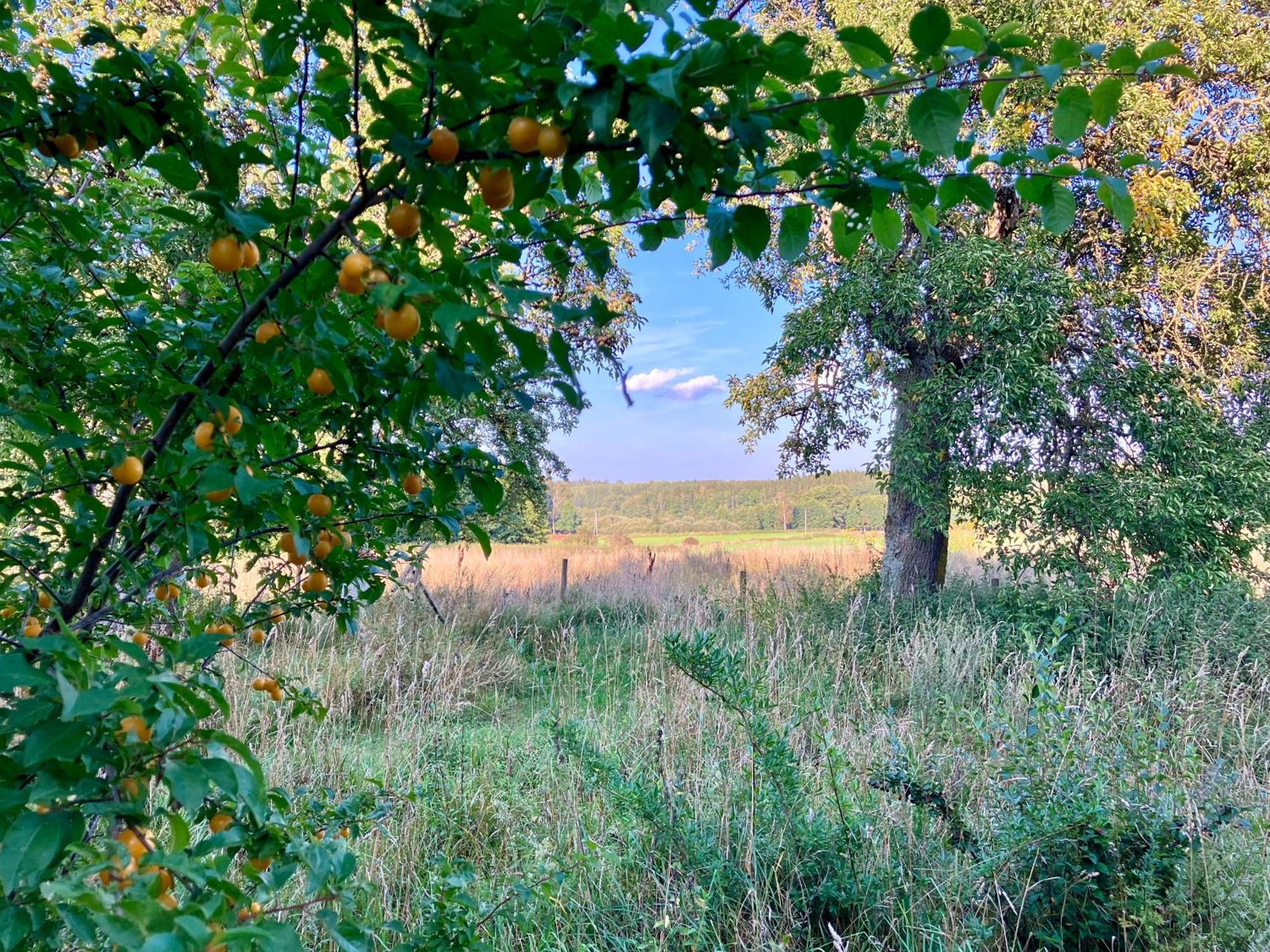 Lidhem Herrgard. Bed & Breakfast Och Mindre Laegenheter Віммербю Екстер'єр фото